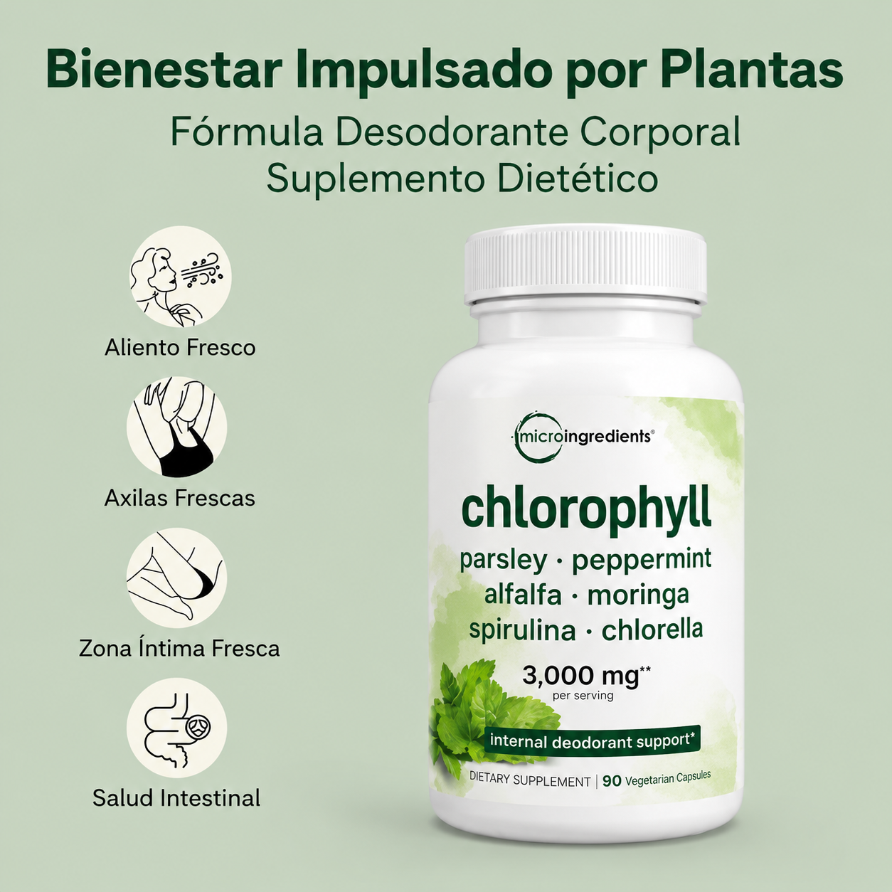 Clorofila