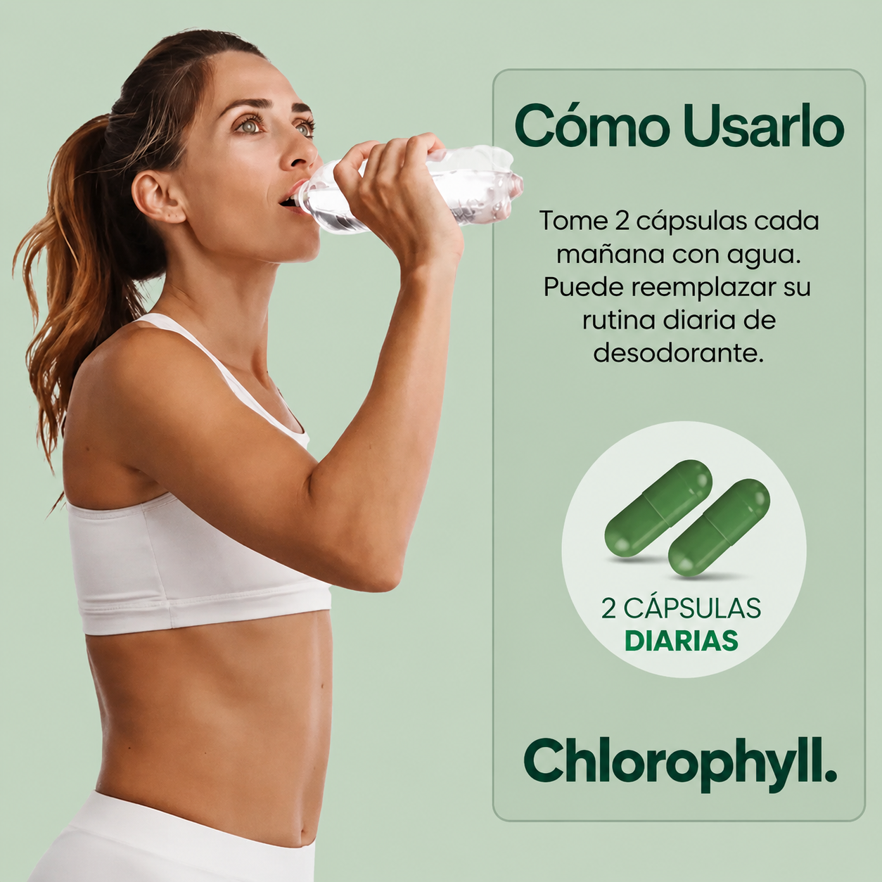 Clorofila