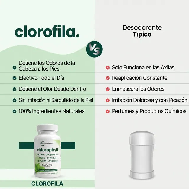 Clorofila