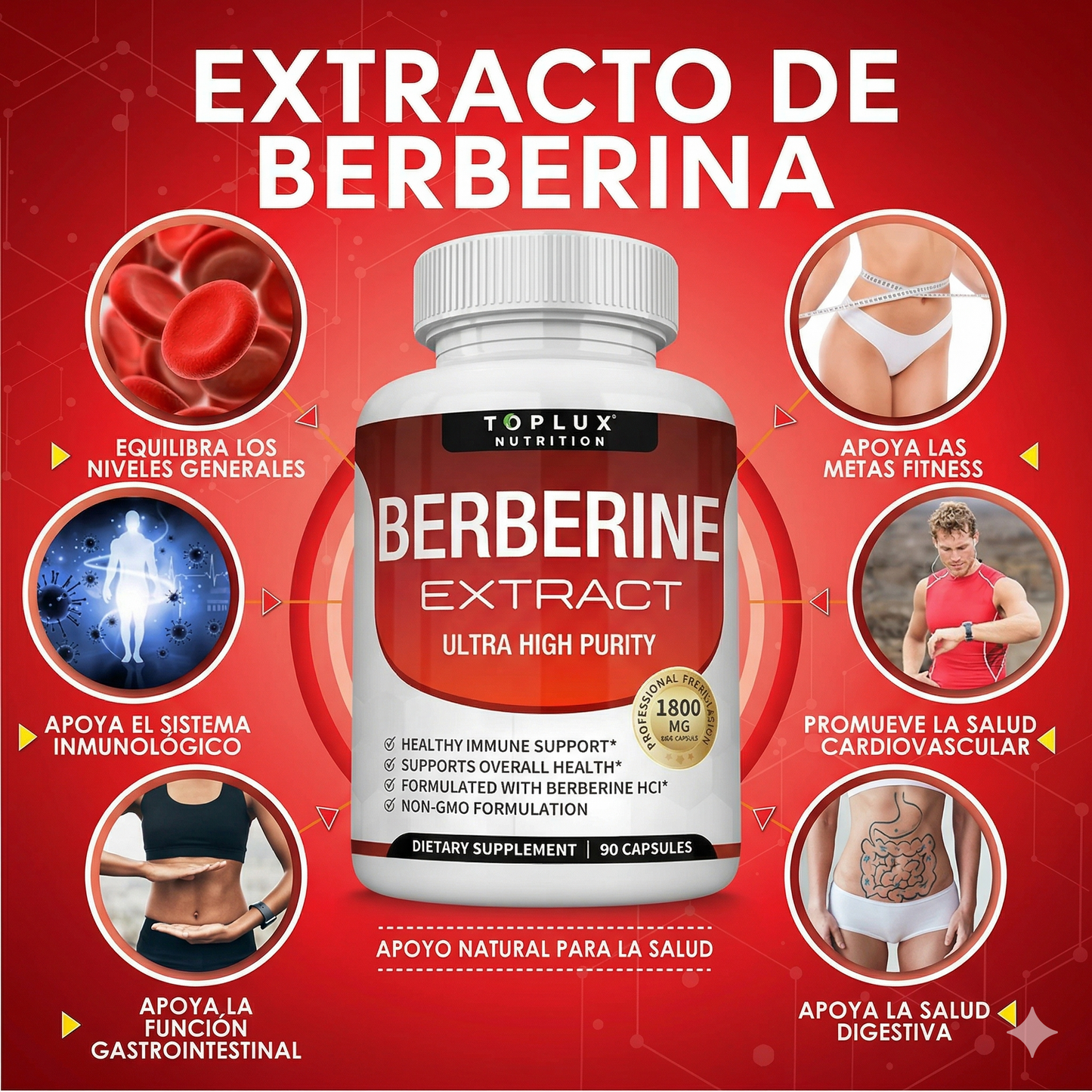 BERBERINE EXTRACT™ - ORIGINAL - HECHO EN USA